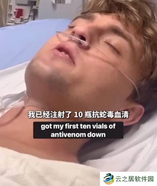 本站