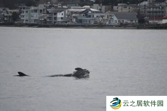 本站