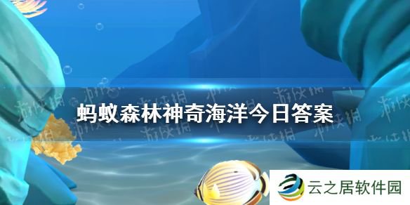 奶嘴海葵因何得名