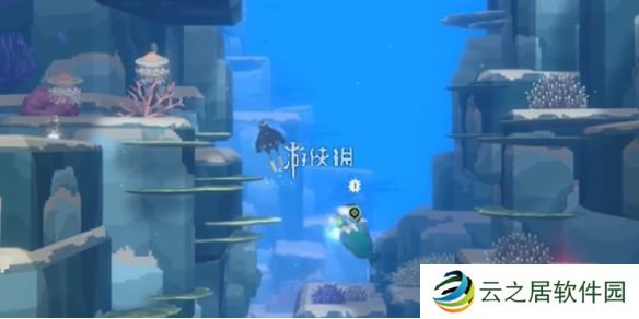 潜水员戴夫鹦嘴鱼怎么抓